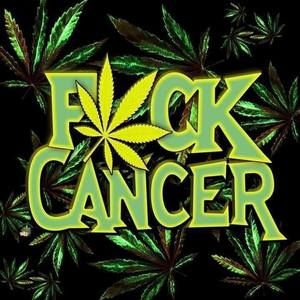 Meet your Posher, Todd